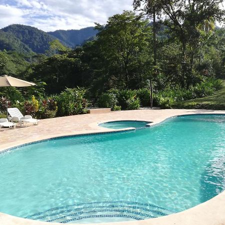 Hacienda Mil Bellezas - Private 40Ha Jungle Reserve 케포스 외부 사진