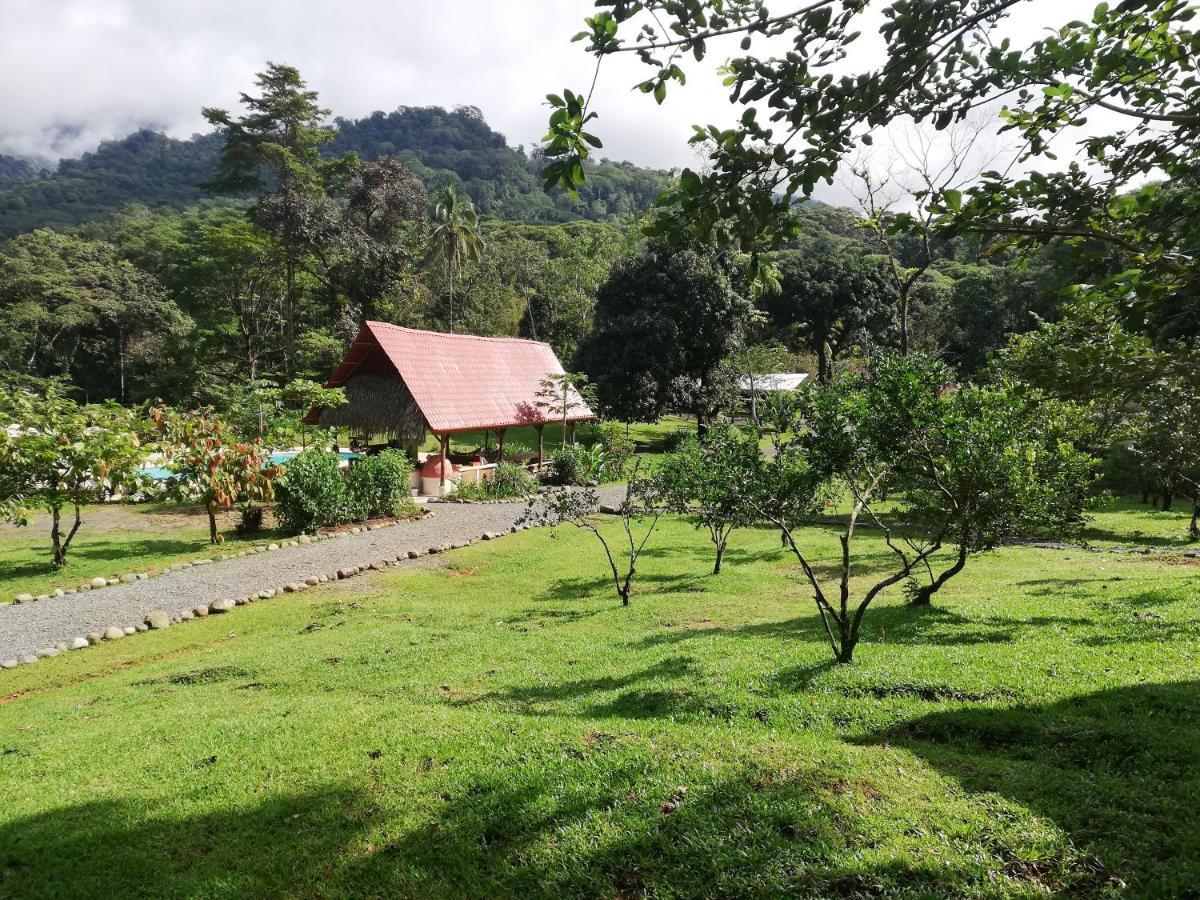 Hacienda Mil Bellezas - Private 40Ha Jungle Reserve 케포스 외부 사진