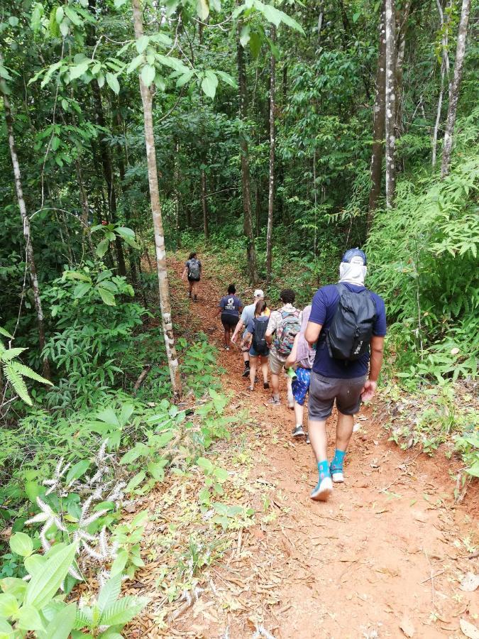 Hacienda Mil Bellezas - Private 40Ha Jungle Reserve 케포스 외부 사진