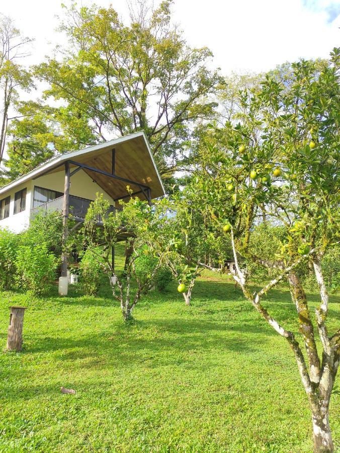 Hacienda Mil Bellezas - Private 40Ha Jungle Reserve 케포스 객실 사진