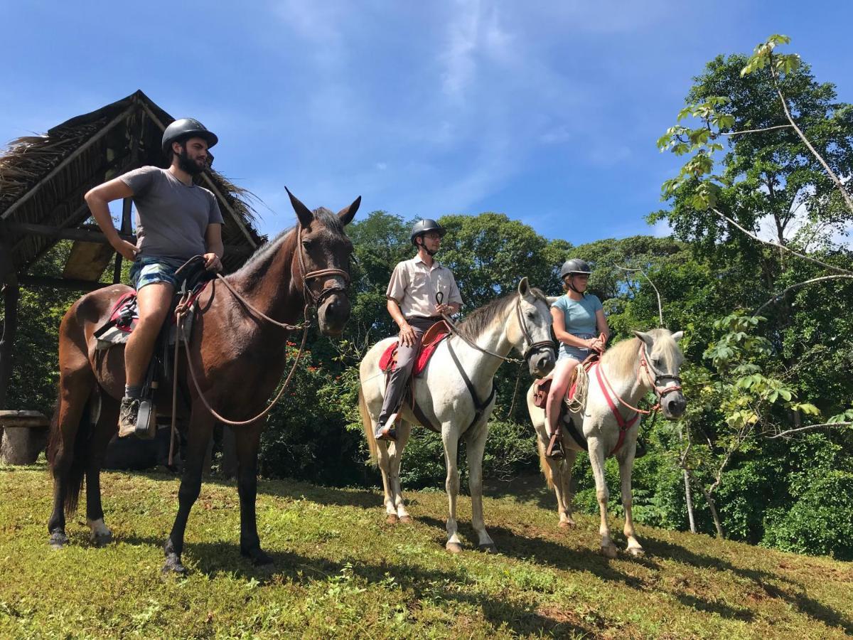 Hacienda Mil Bellezas - Private 40Ha Jungle Reserve 케포스 외부 사진
