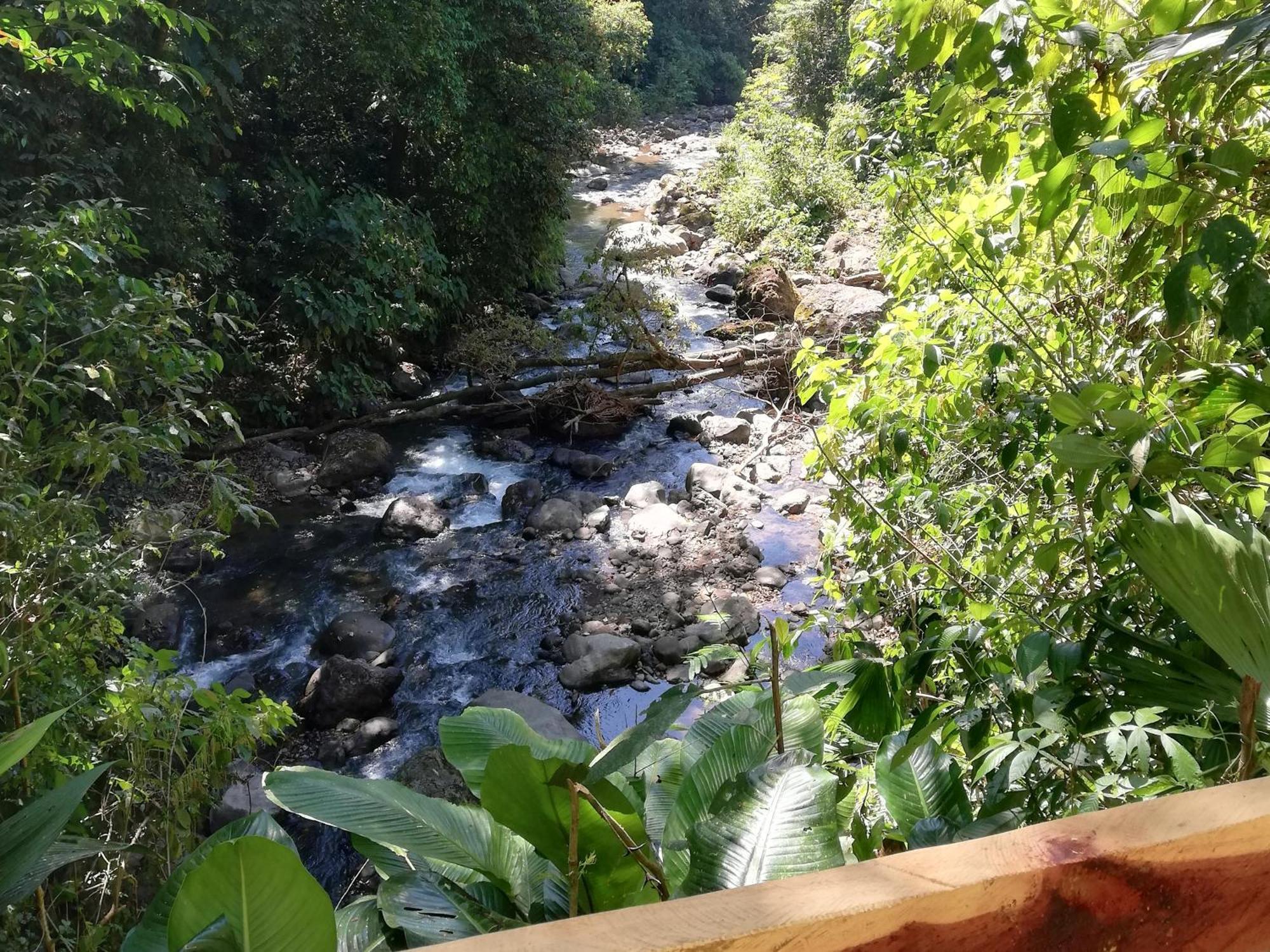 Hacienda Mil Bellezas - Private 40Ha Jungle Reserve 케포스 외부 사진