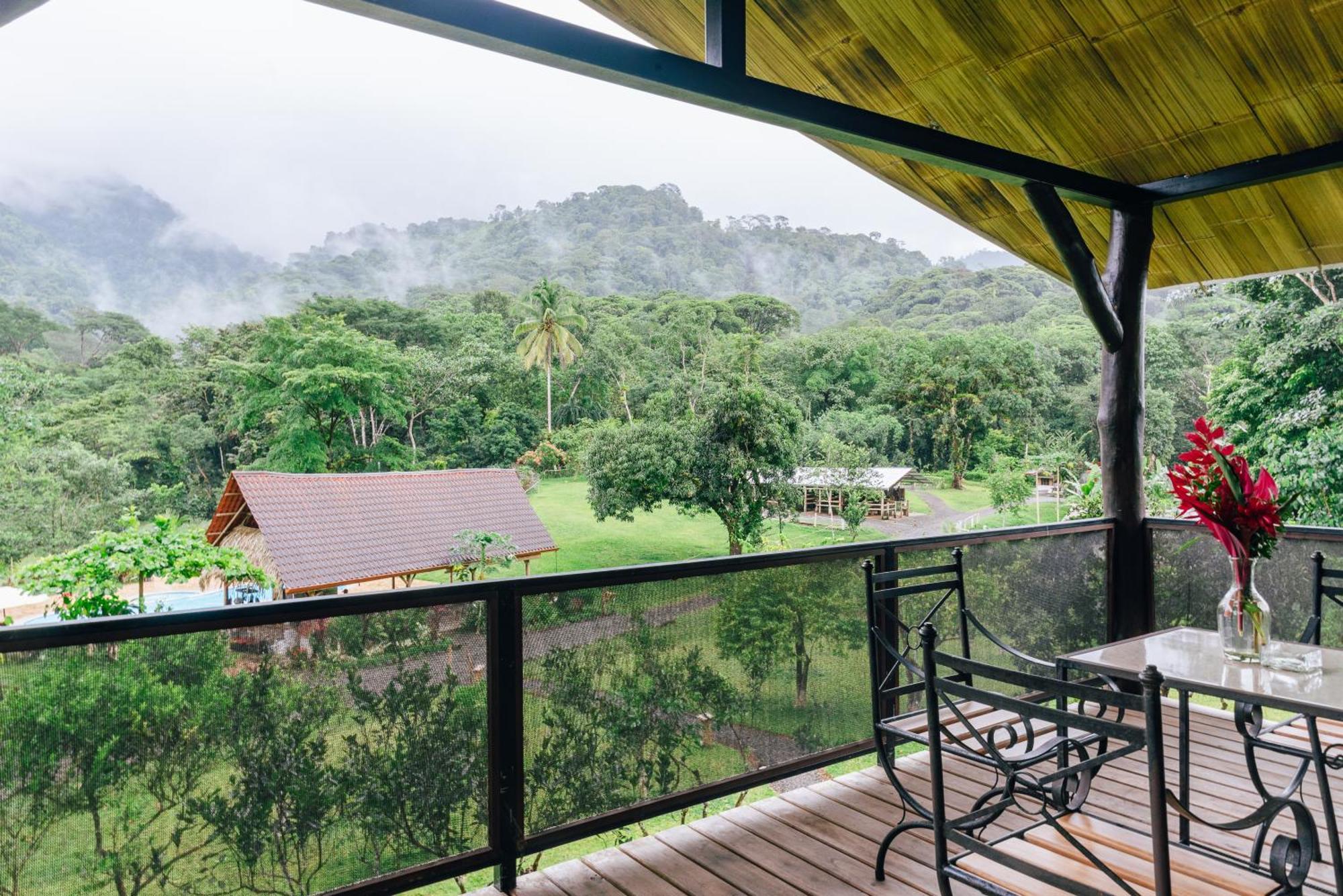 Hacienda Mil Bellezas - Private 40Ha Jungle Reserve 케포스 객실 사진