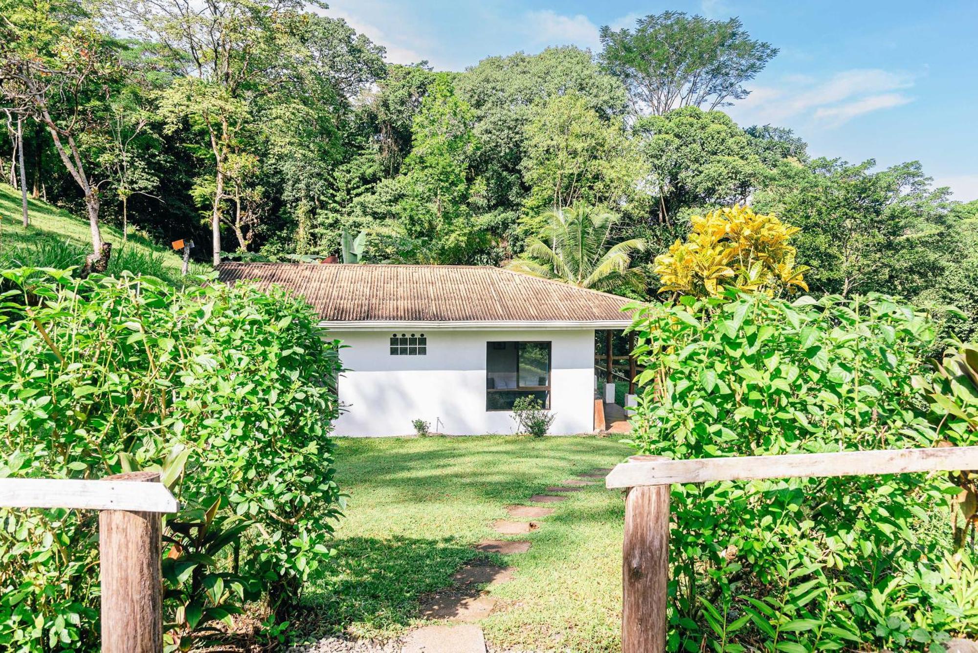 Hacienda Mil Bellezas - Private 40Ha Jungle Reserve 케포스 객실 사진