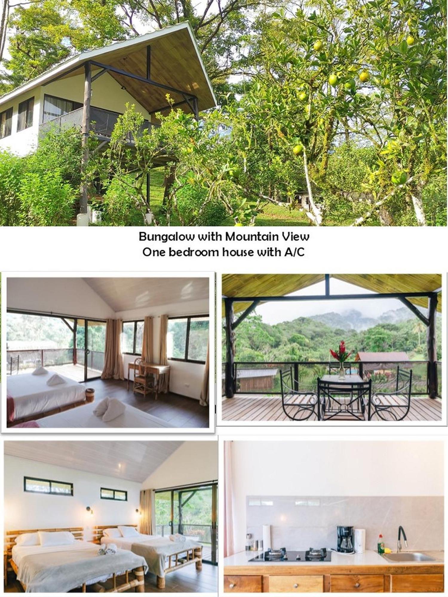 Hacienda Mil Bellezas - Private 40Ha Jungle Reserve 케포스 외부 사진