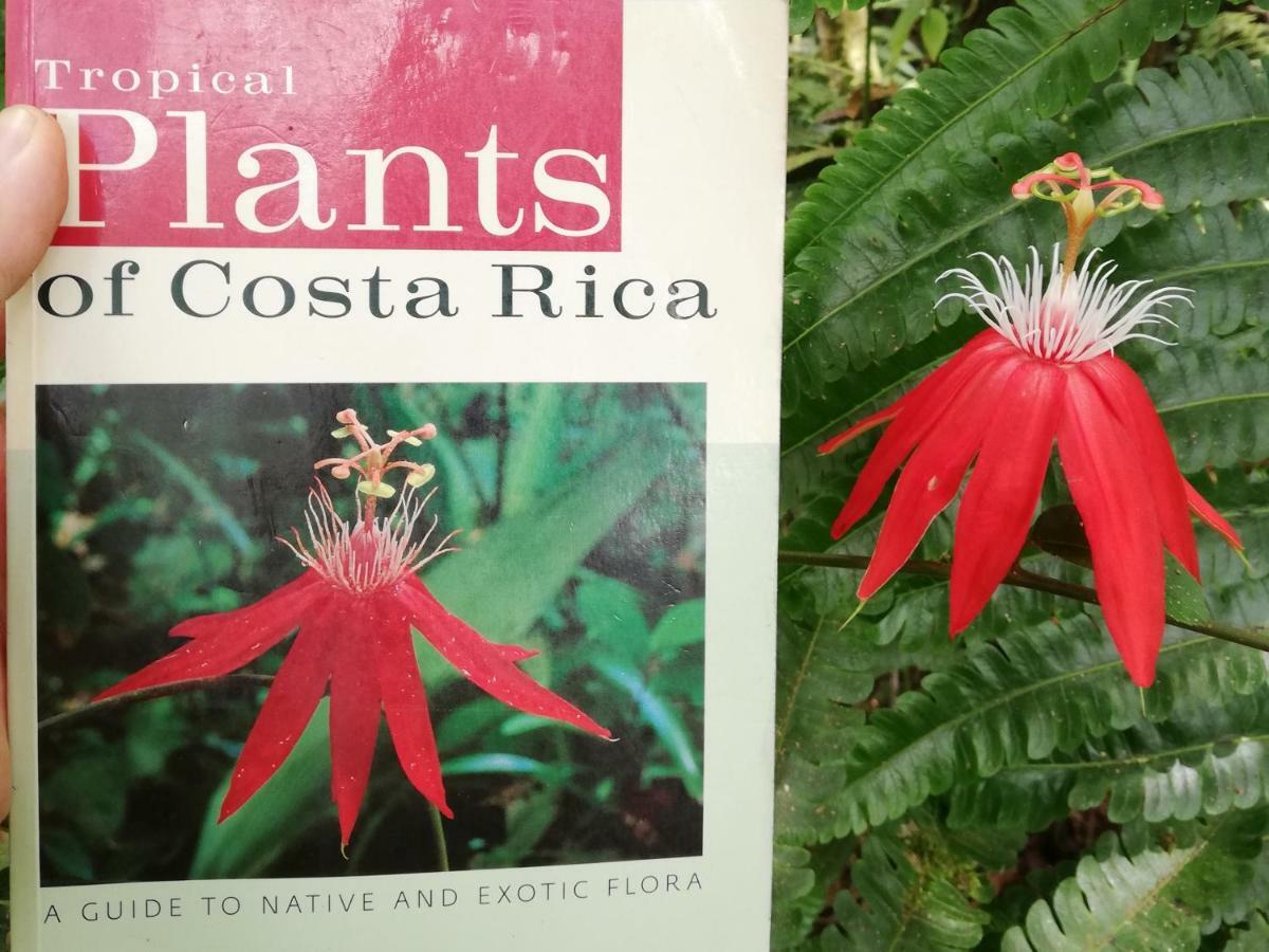 Hacienda Mil Bellezas - Private 40Ha Jungle Reserve 케포스 외부 사진