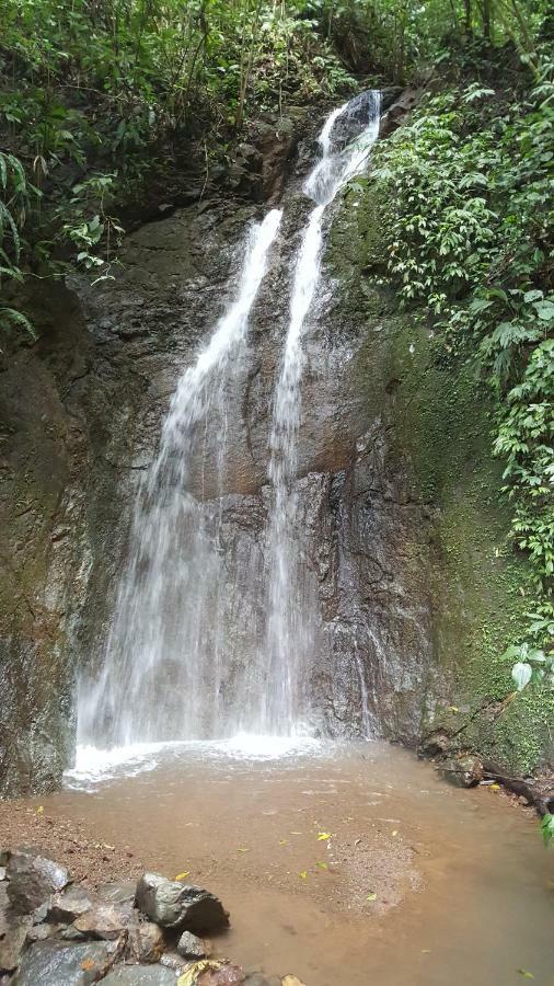 Hacienda Mil Bellezas - Private 40Ha Jungle Reserve 케포스 외부 사진