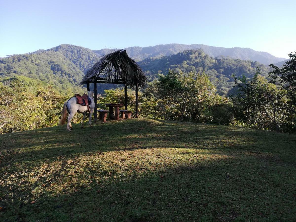 Hacienda Mil Bellezas - Private 40Ha Jungle Reserve 케포스 외부 사진