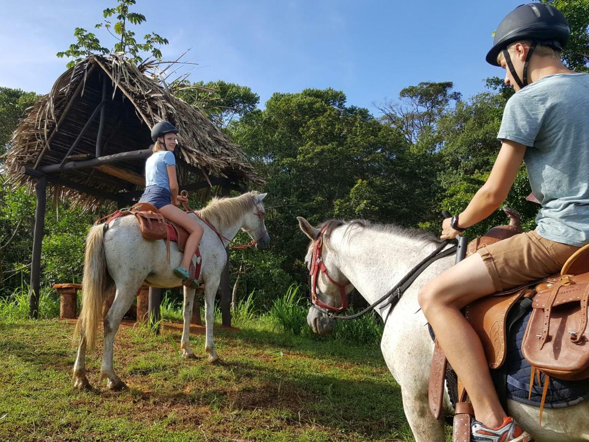 Hacienda Mil Bellezas - Private 40Ha Jungle Reserve 케포스 외부 사진
